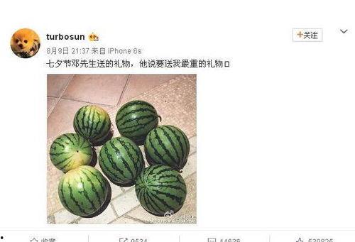 网络大瓜,揭秘娱乐圈幕后真相,带你走进明星隐私世界